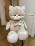 Кот Забияка 1 Кот Забияка 1