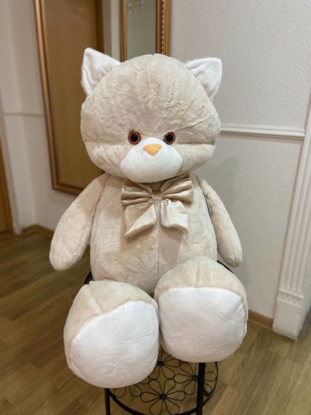Кот Забияка 1