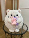 Котик Миу 1
