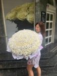 Хризантемы8