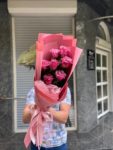 розовые розы1